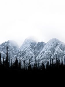 Preview wallpaper mountains, peaks, trees, clouds, landscape