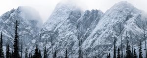 Preview wallpaper mountains, peaks, trees, clouds, landscape