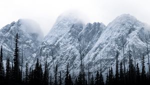 Preview wallpaper mountains, peaks, trees, clouds, landscape