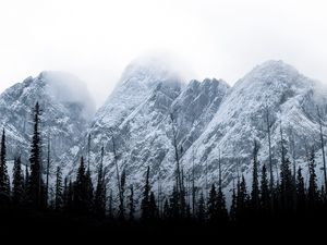 Preview wallpaper mountains, peaks, trees, clouds, landscape
