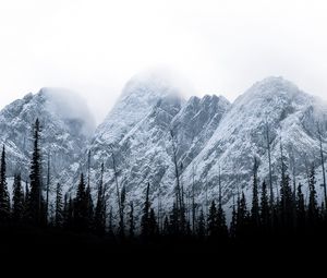 Preview wallpaper mountains, peaks, trees, clouds, landscape