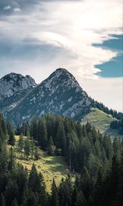 Preview wallpaper mountains, peaks, trees, spruce, sky