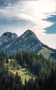 Preview wallpaper mountains, peaks, trees, spruce, sky