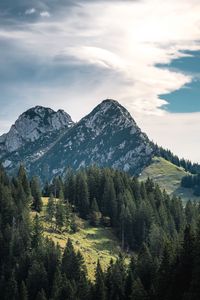 Preview wallpaper mountains, peaks, trees, spruce, sky