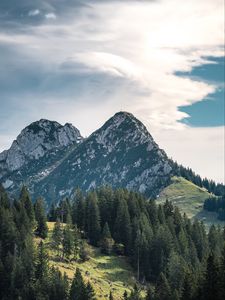 Preview wallpaper mountains, peaks, trees, spruce, sky