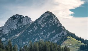 Preview wallpaper mountains, peaks, trees, spruce, sky