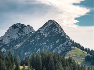 Preview wallpaper mountains, peaks, trees, spruce, sky