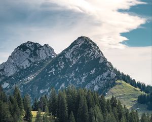 Preview wallpaper mountains, peaks, trees, spruce, sky