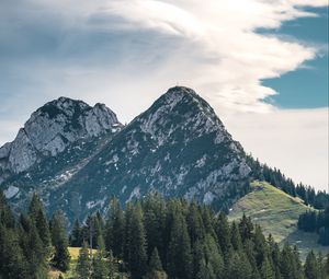 Preview wallpaper mountains, peaks, trees, spruce, sky