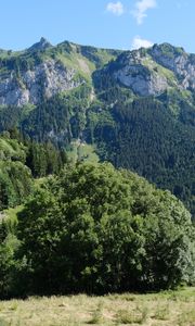 Preview wallpaper mountains, peaks, trees, landscape