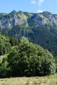 Preview wallpaper mountains, peaks, trees, landscape