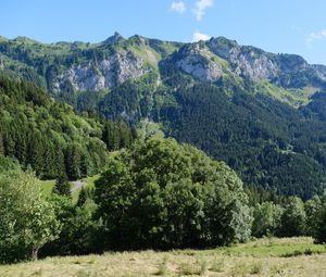 Preview wallpaper mountains, peaks, trees, landscape