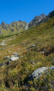 Preview wallpaper mountains, piedmont, grass, nature, landscape