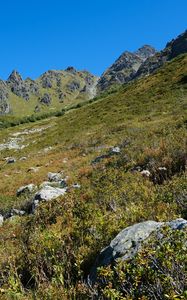 Preview wallpaper mountains, piedmont, grass, nature, landscape