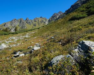 Preview wallpaper mountains, piedmont, grass, nature, landscape