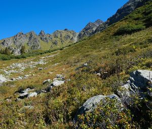 Preview wallpaper mountains, piedmont, grass, nature, landscape