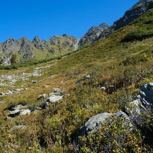 Preview wallpaper mountains, piedmont, grass, nature, landscape