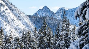 Preview wallpaper mountains, pines, snow, trees, winter