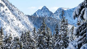 Preview wallpaper mountains, pines, snow, trees, winter