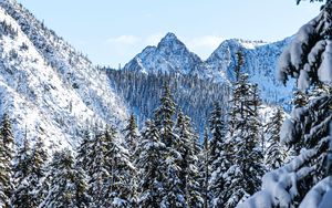 Preview wallpaper mountains, pines, snow, trees, winter