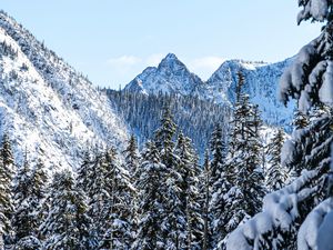 Preview wallpaper mountains, pines, snow, trees, winter