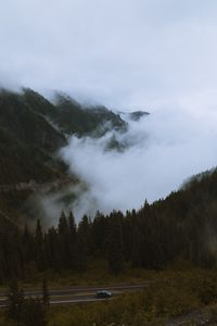 Preview wallpaper mountains, pines, trees, fog, road, car, nature