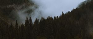 Preview wallpaper mountains, pines, trees, fog, road, car, nature