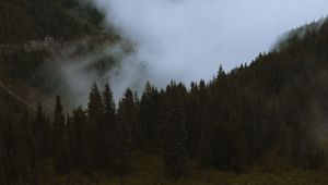 Preview wallpaper mountains, pines, trees, fog, road, car, nature