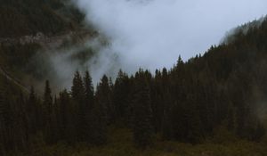 Preview wallpaper mountains, pines, trees, fog, road, car, nature