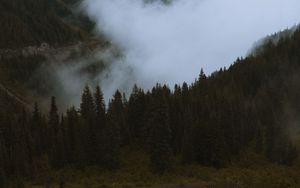 Preview wallpaper mountains, pines, trees, fog, road, car, nature