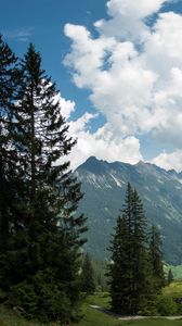 Preview wallpaper mountains, pines, trees, landscape, nature