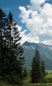 Preview wallpaper mountains, pines, trees, landscape, nature