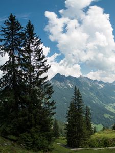 Preview wallpaper mountains, pines, trees, landscape, nature