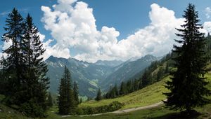 Preview wallpaper mountains, pines, trees, landscape, nature