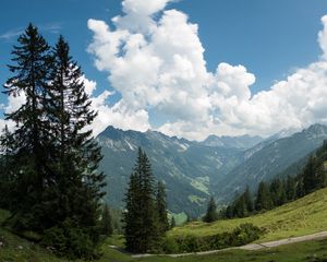 Preview wallpaper mountains, pines, trees, landscape, nature