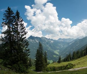 Preview wallpaper mountains, pines, trees, landscape, nature