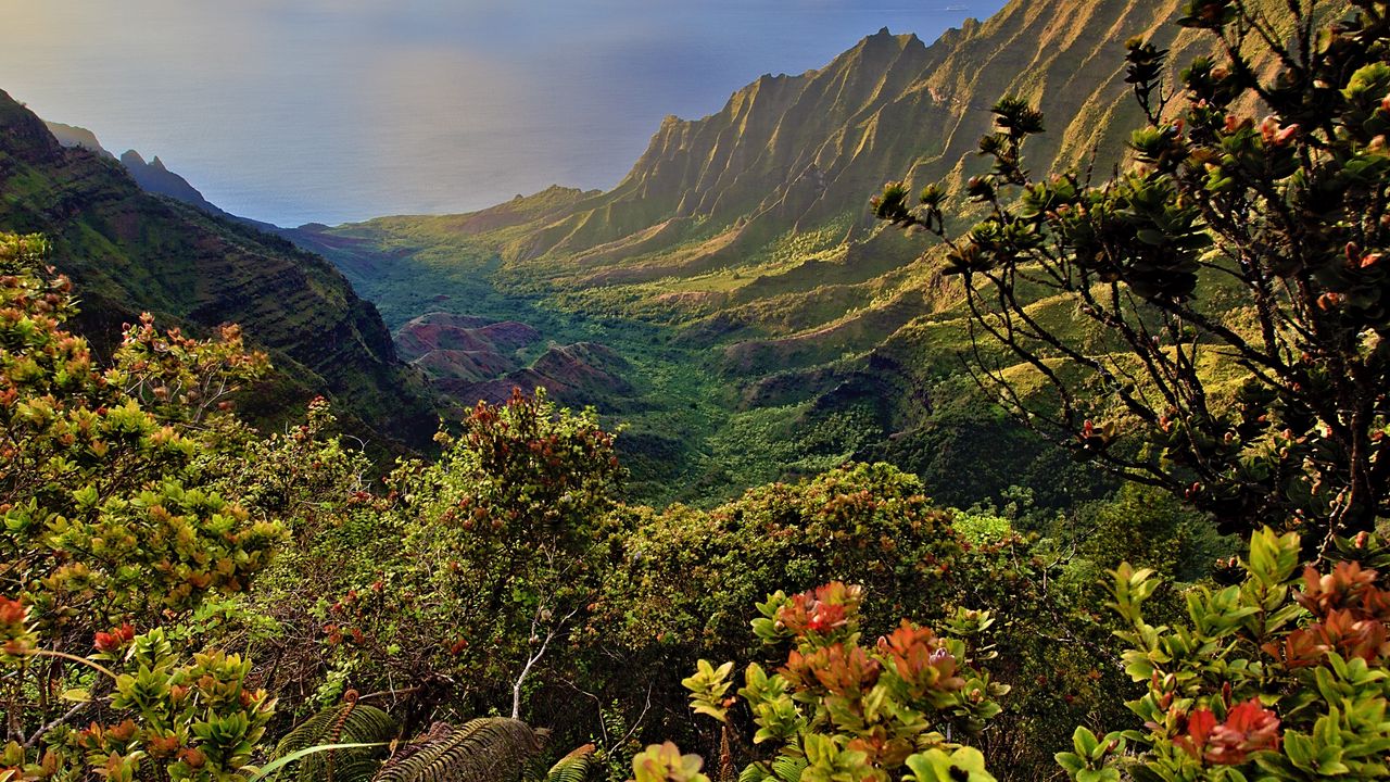 Wallpaper mountains, plants, shrubs, landscape