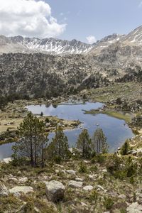 Preview wallpaper mountains, pond, trees, grass, stones, sky, clouds