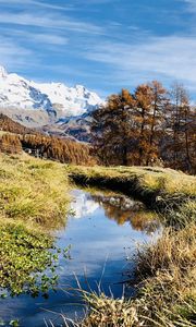 Preview wallpaper mountains, puddle, trees, grass, landscape, nature