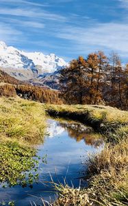 Preview wallpaper mountains, puddle, trees, grass, landscape, nature