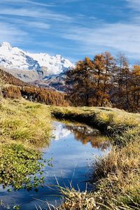 Preview wallpaper mountains, puddle, trees, grass, landscape, nature