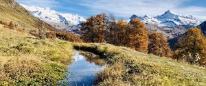 Preview wallpaper mountains, puddle, trees, grass, landscape, nature