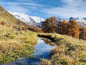 Preview wallpaper mountains, puddle, trees, grass, landscape, nature