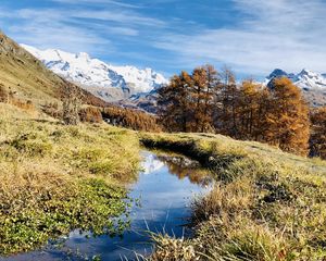 Preview wallpaper mountains, puddle, trees, grass, landscape, nature