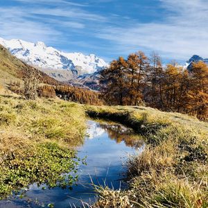 Preview wallpaper mountains, puddle, trees, grass, landscape, nature