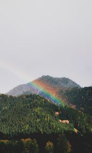 Preview wallpaper mountains, rainbow, landscape, forest, trees