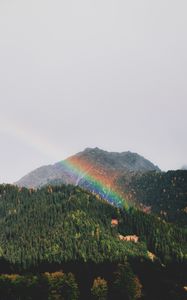 Preview wallpaper mountains, rainbow, landscape, forest, trees