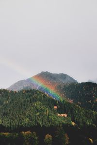 Preview wallpaper mountains, rainbow, landscape, forest, trees