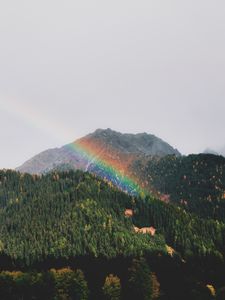 Preview wallpaper mountains, rainbow, landscape, forest, trees