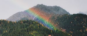 Preview wallpaper mountains, rainbow, landscape, forest, trees